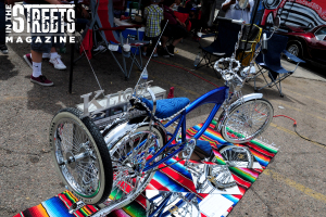 Little Lowrider Show (24)