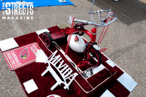 Little Lowrider Show (9)