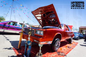 Guadalupe Car Show 2016 (13)